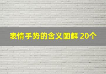 表情手势的含义图解 20个